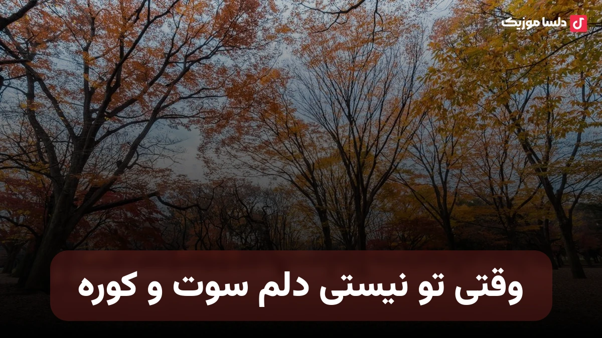 وقتی تو نیستی دلم سوت و کوره عاشق تو بودن واسه من غروره صدای زن